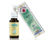 Saule - Willow Bio (n�38)