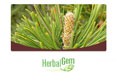 A propos d'HERBALGEM