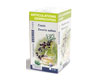 Infusion cassis bio, Biolys-Tilman