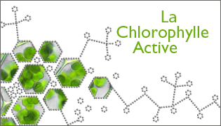 Alorée Chlorocosmetic, la chlorophylle active