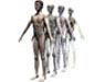 Articulations, os, muscles et traumatismes