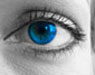 Vision