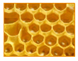 Propolis