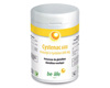 Cystenac 600 (N-Acetyl-L-Cysteine), 60 g�lules, be-life