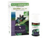 Giroflier (Eugenia caryophyllus), Pranar�m, 10 ml