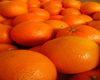 Orange douce (Citrus cinensis) BIO, Pranar�m, 10 ml
