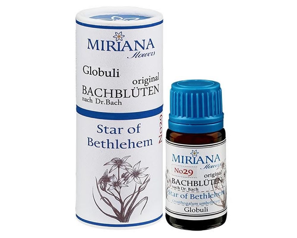 Star Of Bethlehem 29 Bach Flower Alcohol Free