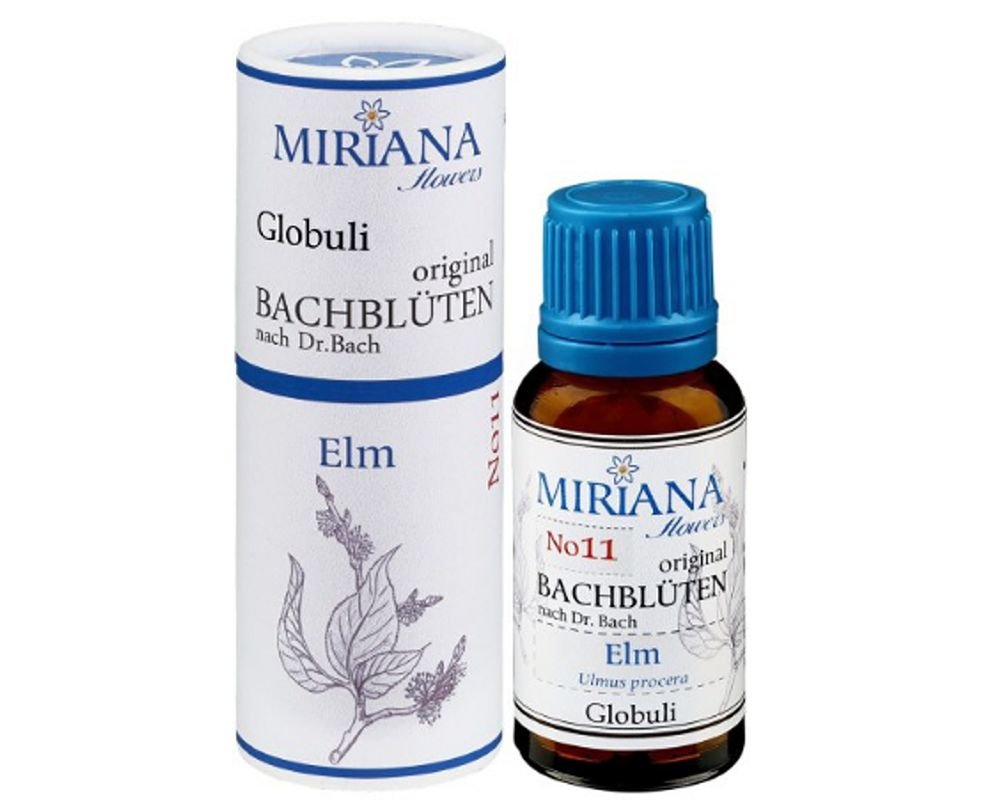 elm 11 bach flower alcohol free 20g miriana flowers