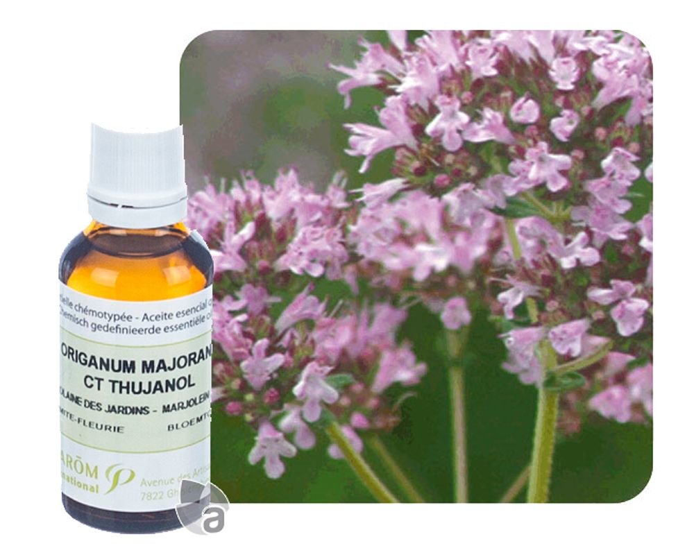 Huile Essentielle De Marjolaine Des Jardins 30 Ml Pranarom