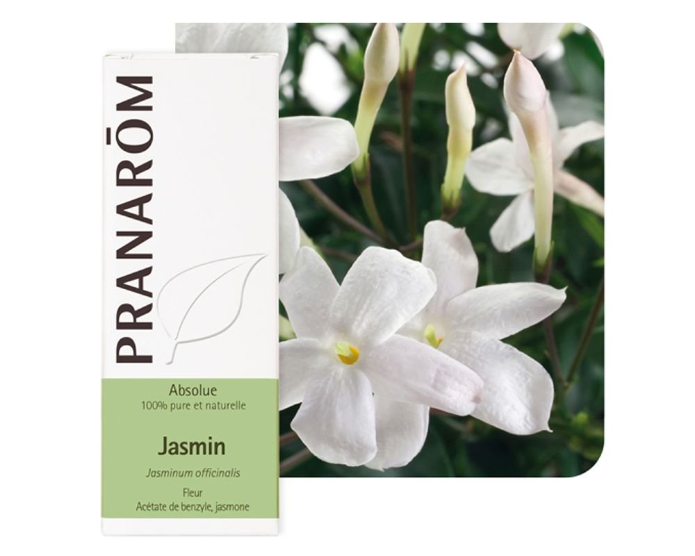 huile essentiel de jasmin