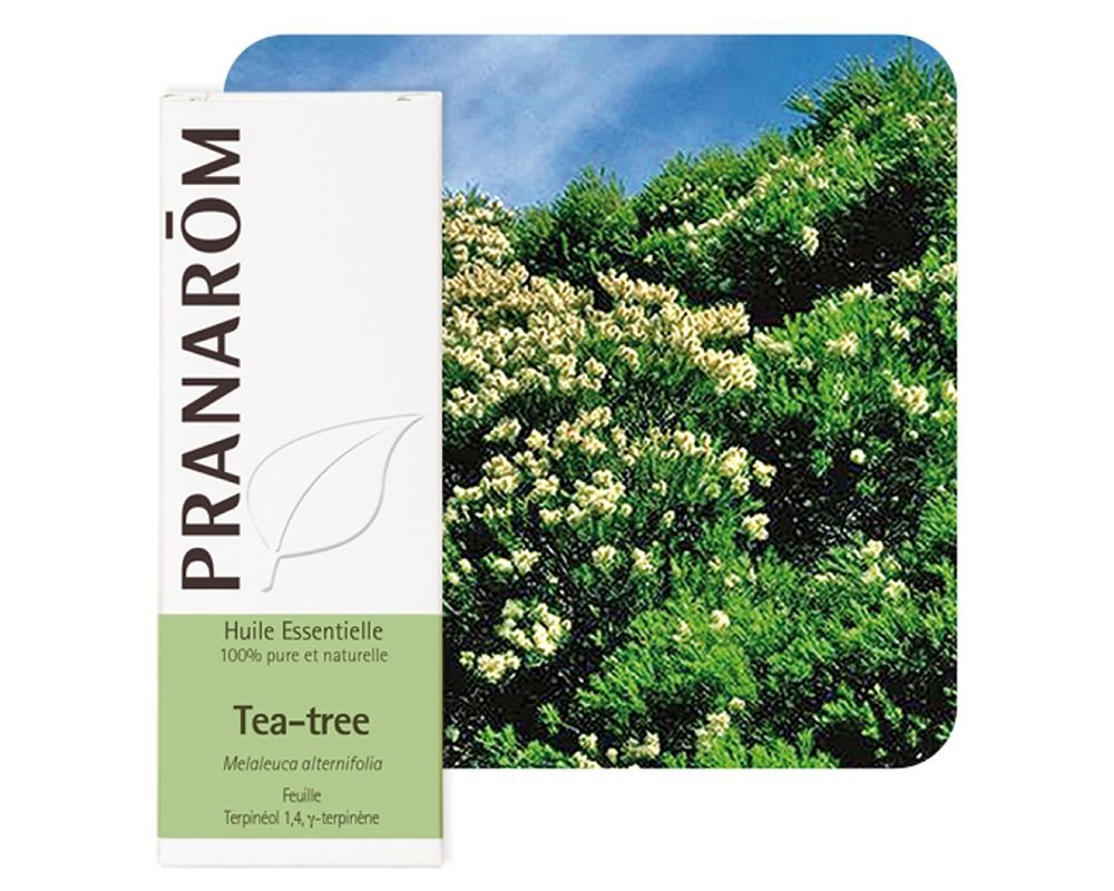 Tea-Tree (Melaleuca alternifolia) Pranarôm 10 ml