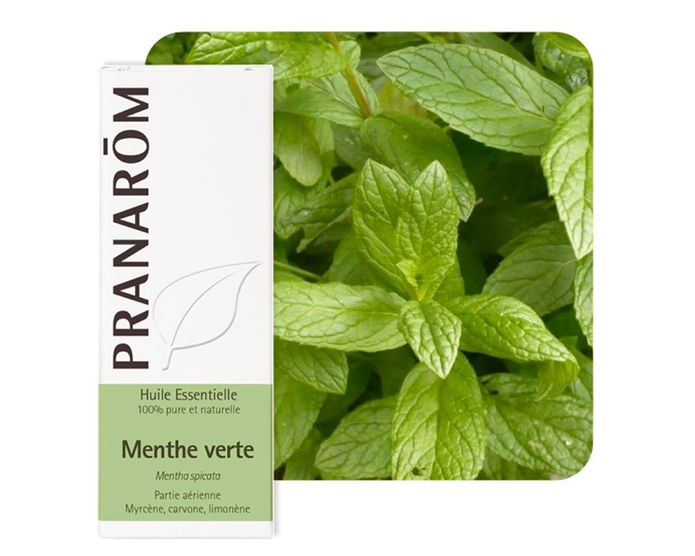 Huile essentielle naturelle de Menthe verte - Menthe Nana - Pranarom