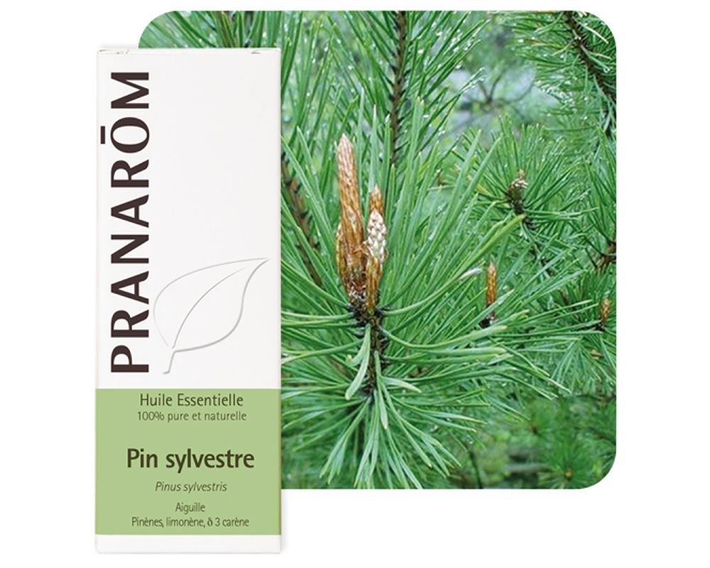 Woodland Pine Pinus Sylvestris Pranarom 10ml