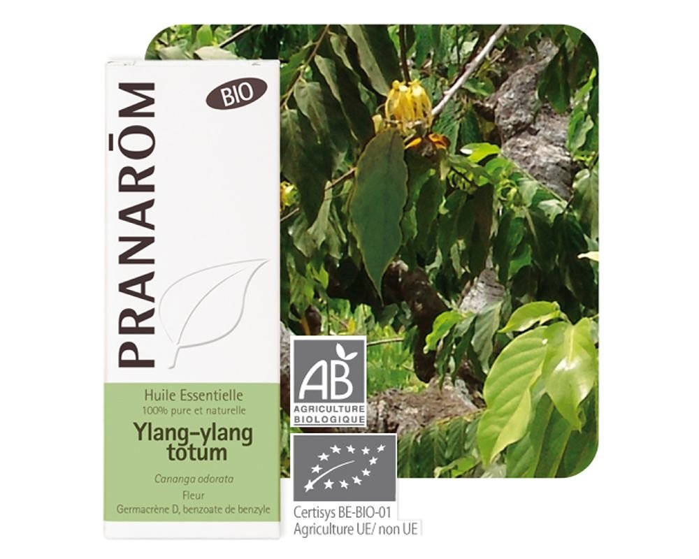 Ylang Ylang Totum Cananga Odorata Bio Pranrom 5ml Ylang Ylang Totum Cananga Odorata Bio Pranrom 5ml