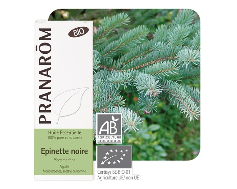 Black Spruce Picea Mariana Bio Pranarom 10ml