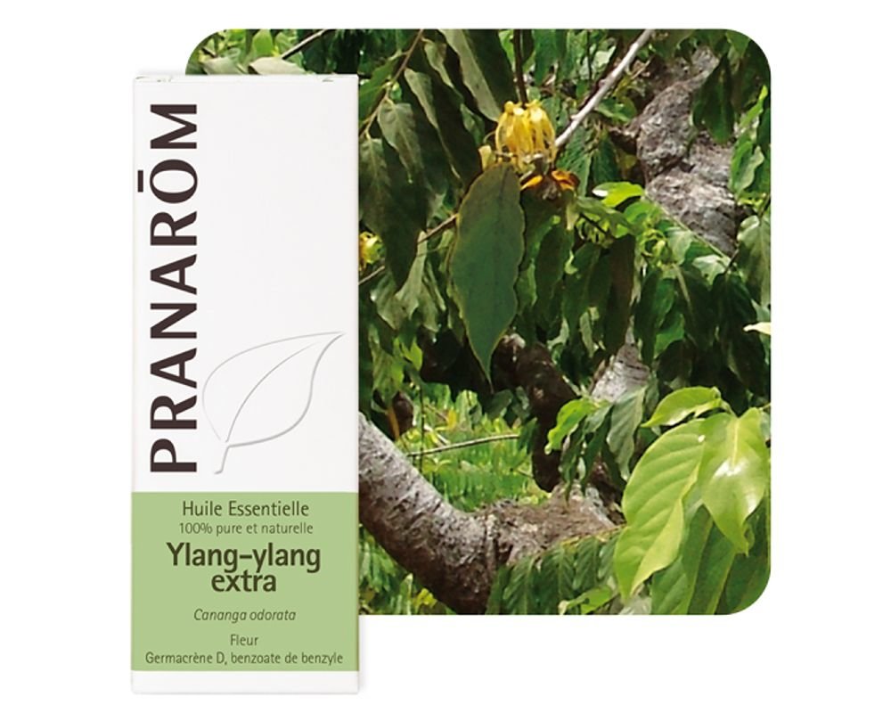 Olio Essenziale Ylang Ylang Extra BIO Pranarôm - 5ml, Contro Stress