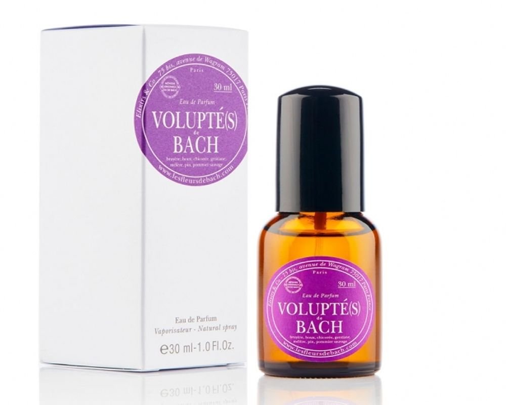 volupte eau de parfum