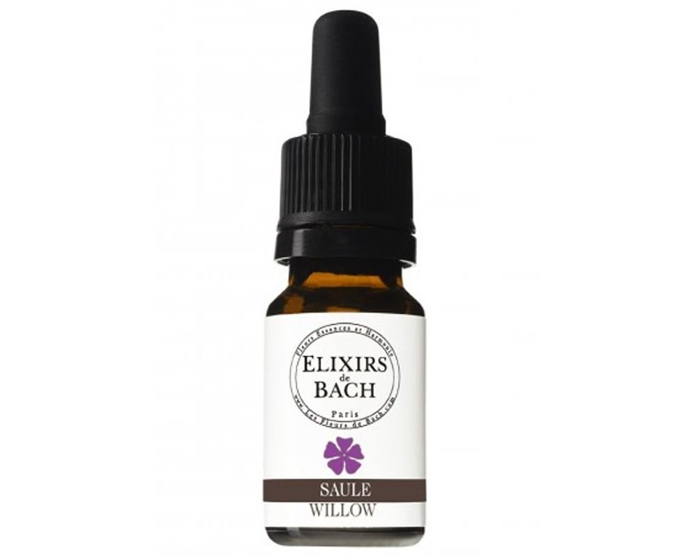 fleur de bach 38 willow saule elixirs co 10 ml