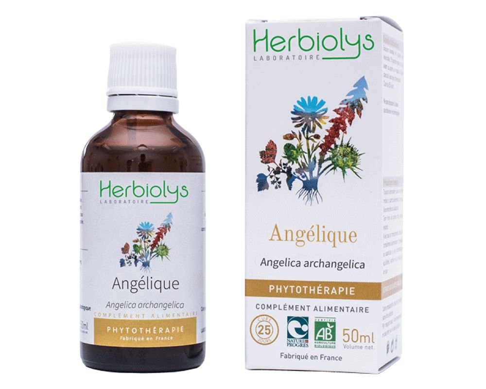 Huile Essentielle D'Angélique (Angelica Archangelica) - Pure, Naturelle - Flacon Neuf