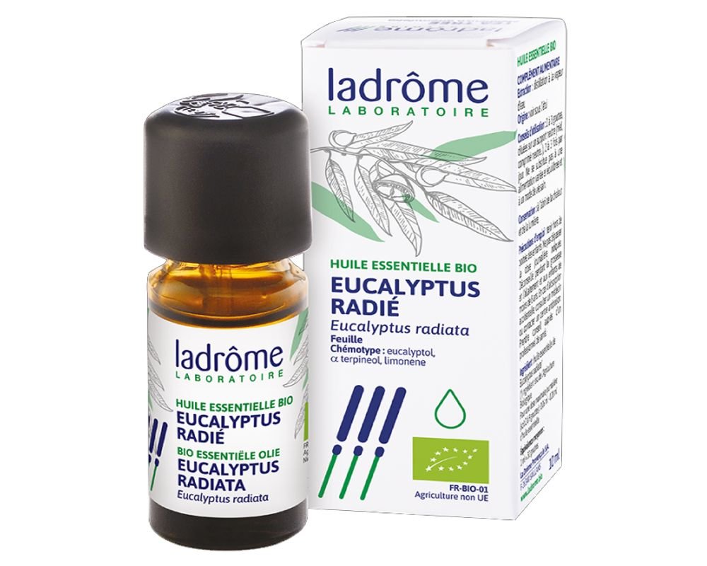 Eucalyptus radié (Eucalyptus radiata) - Ladrôme - 30 ml