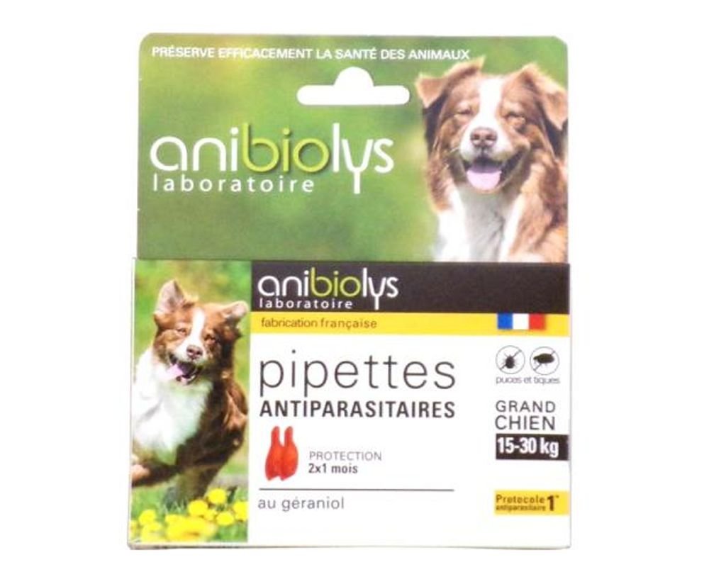 Mossa le az ablakokat hatékony Illatos collier anibiolys avis 