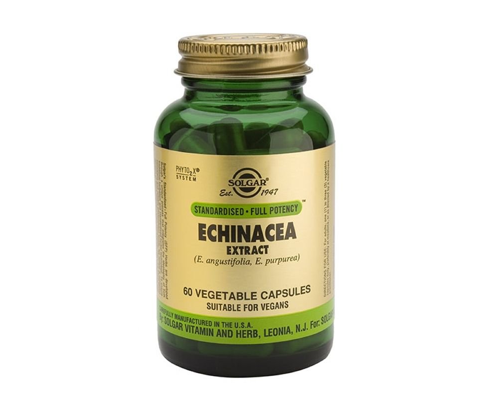 Echinacea Extract Echinacea Extract Solgar 60 Vegetarian Capsules
