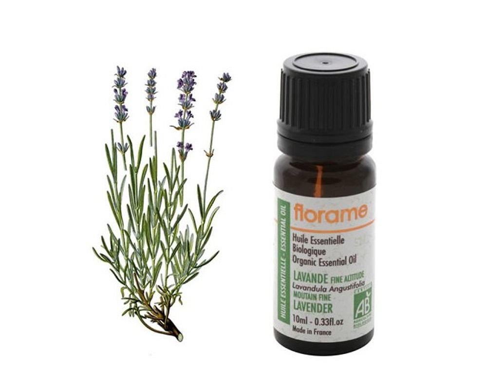 Graines De Lavande Bio Germisem - Lavandula Angustifolia - Pour Jardin Et Cuisine