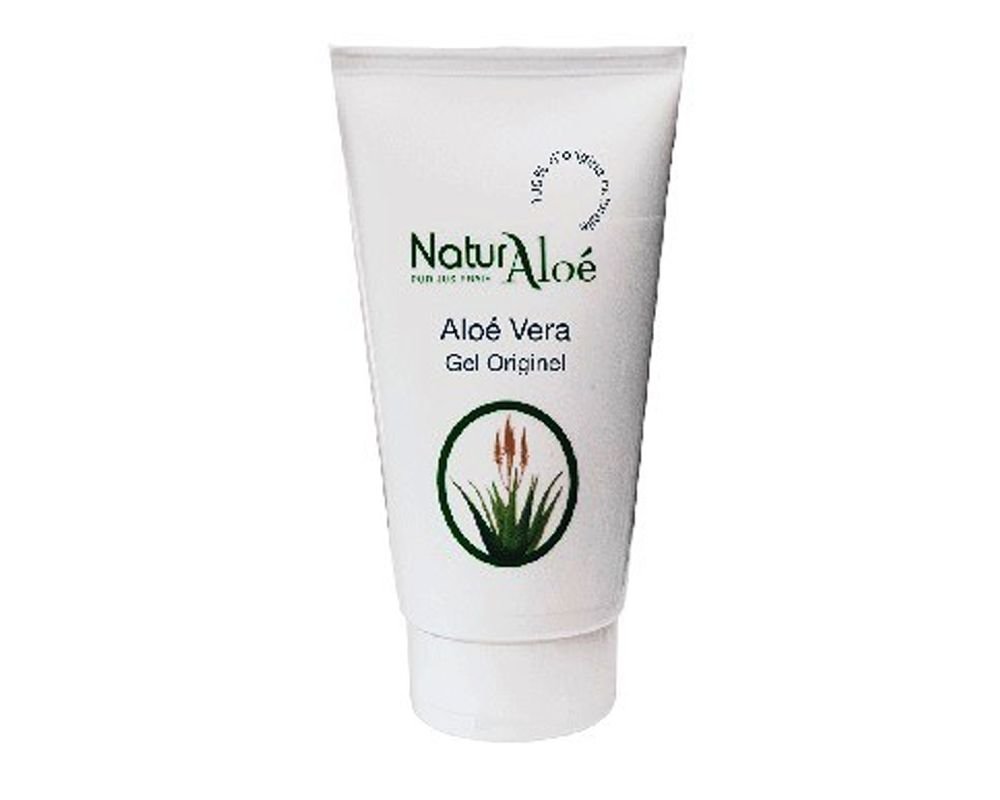 schlangenpflanze spinnenpflanze aloe vera pflanze Aloe Spider