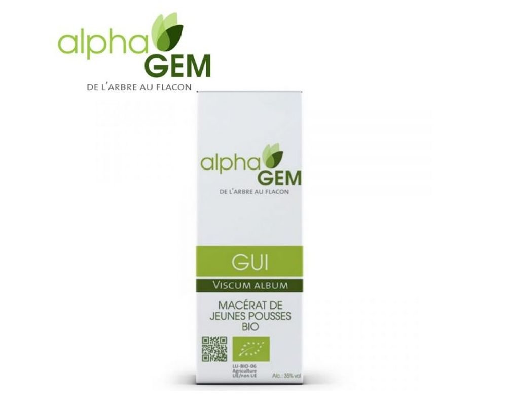 gui viscum album bud bio 50 ml