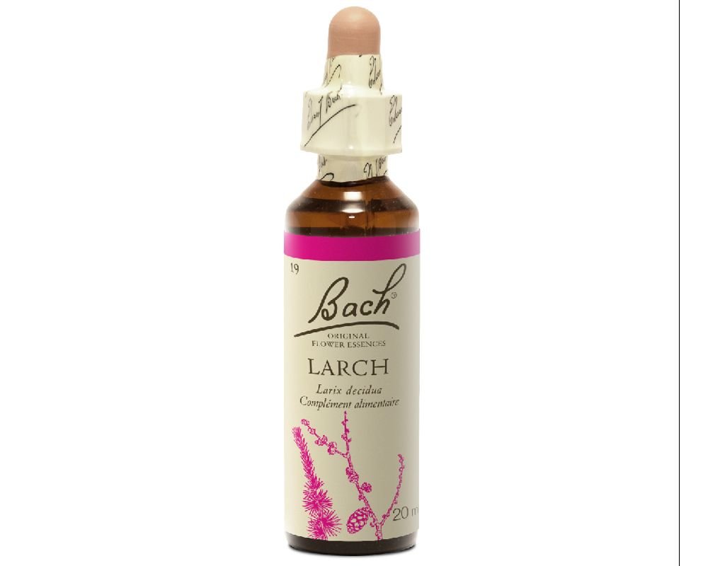 Fleur de bach pour la confiance en soi