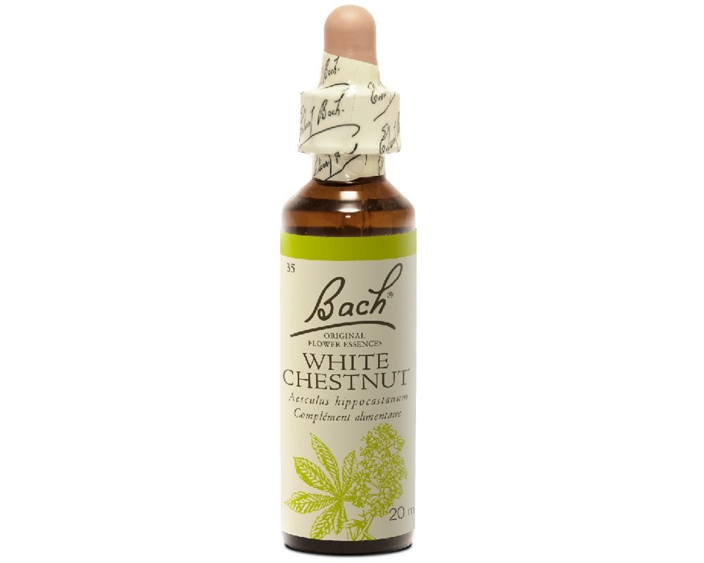Marronnier blanc fleur de bach