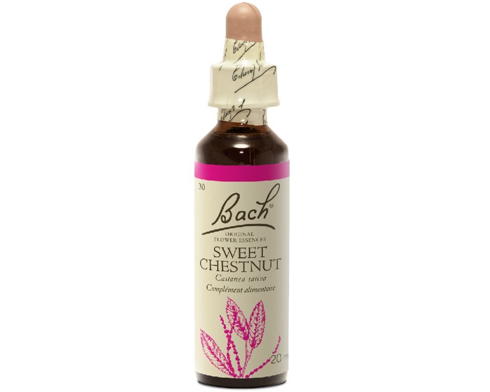 sweet chestnut n 30 original bach flower 20ml