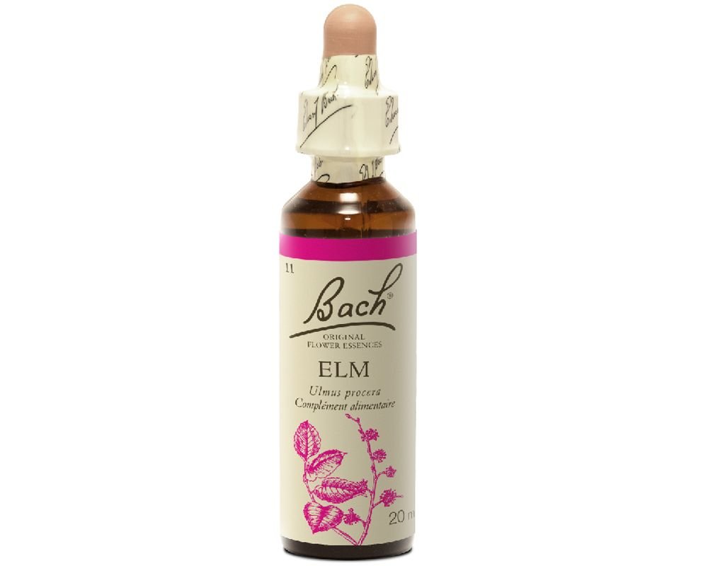 elm n 11 original bach flower 20ml