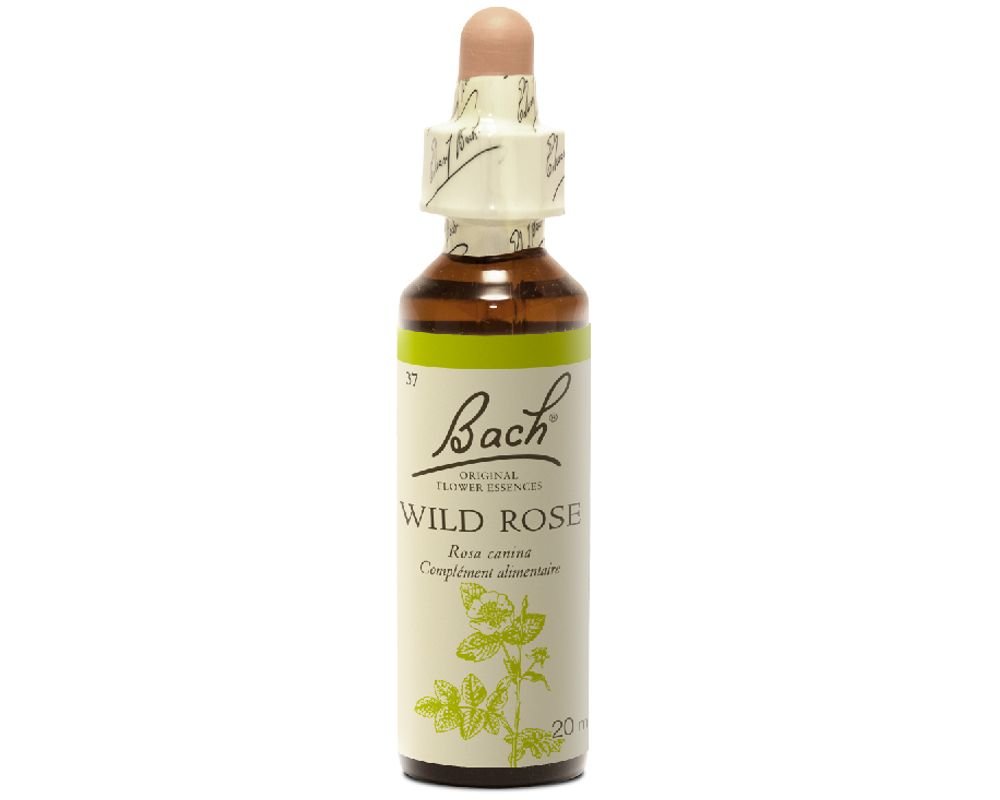 fleur de bach n 37 eglantier wild rose 20ml fleur de bach original