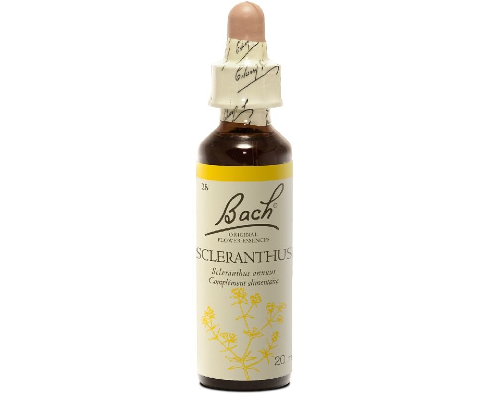 Scleranthus fleur de bach