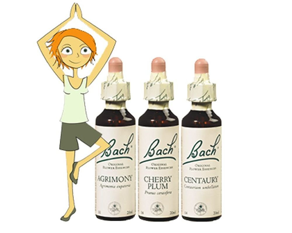 Set De 3 Fleurs De Bach Originales Etre Bien Avec Soi Meme