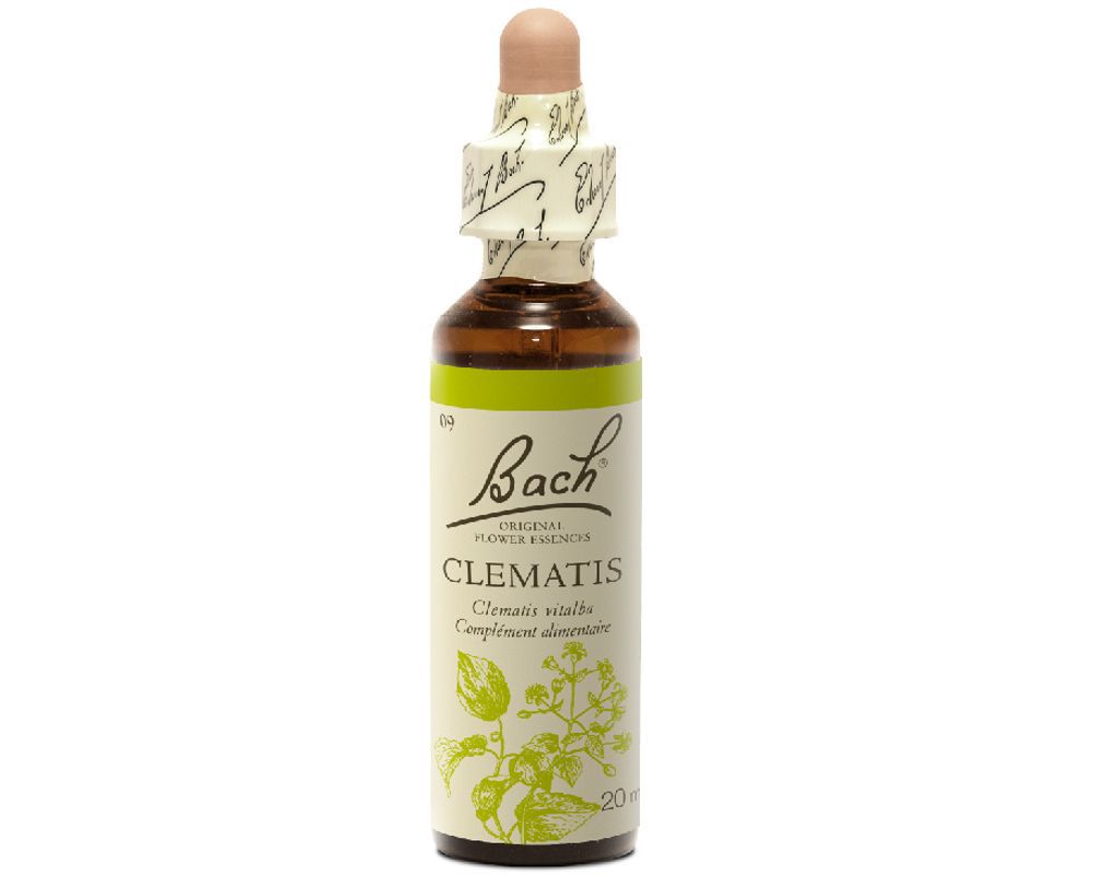 Clématite Clematis N9 20 Ml