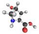 PCA Pyrrolidone Carboxylic Acid