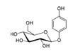 Arbutine