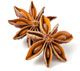 Star anise (badian)