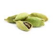 Cardamom