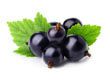 Blackcurrant (leaves)