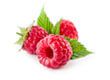 Raspberry ketone