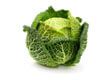 Cabbage (macerate)