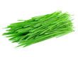 Wheatgrass