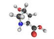 Hydroxyproline