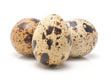 Oeufs de caille