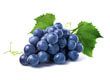 Pépins de raisin