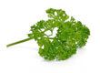 Parsley