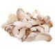 Oyster mushroom